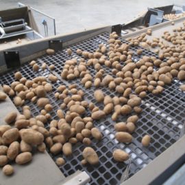 Potato Grading | 8 Ways to Reduce Damage & Maximise Value