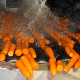 U-BRUSH Polisseuse de légumes