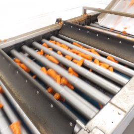 Tong rolls out cutting-edge technology to proven vegetable grader