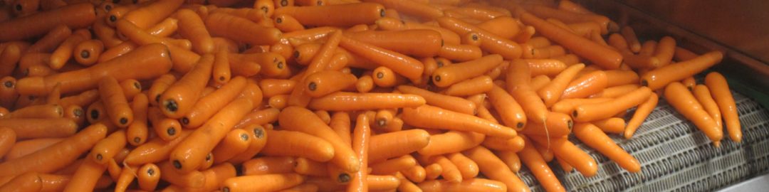 Traitement de carottes