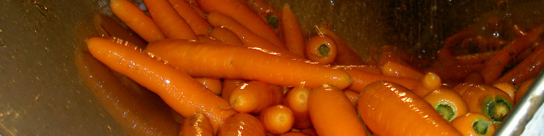 Laveuse pour carottes