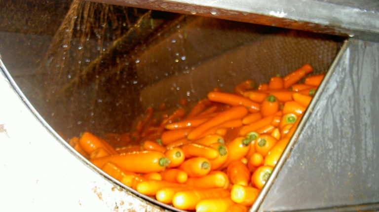 Ligne de Calibrage & Lavage pour carottes