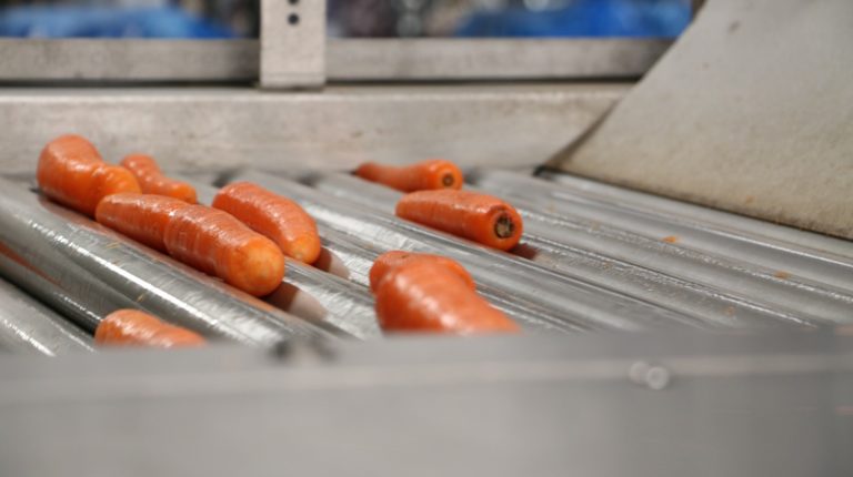 Calibreur, Laveur & Conditionneur Tong Engineering pour carottes