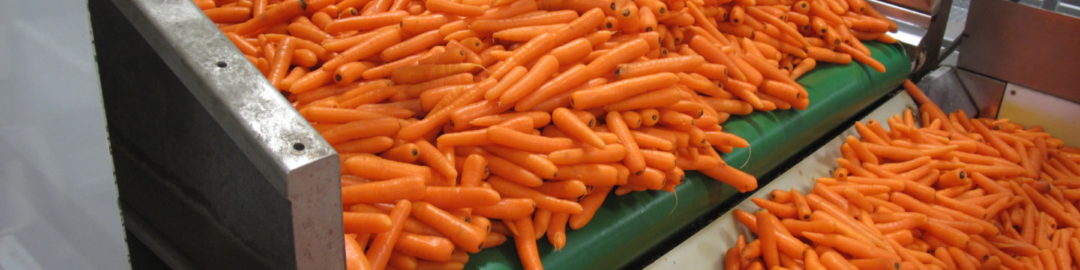 Trémie pour carottes