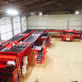 New Tong potato grading line increases throughput for Cornwall grower