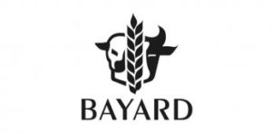 bayard french website